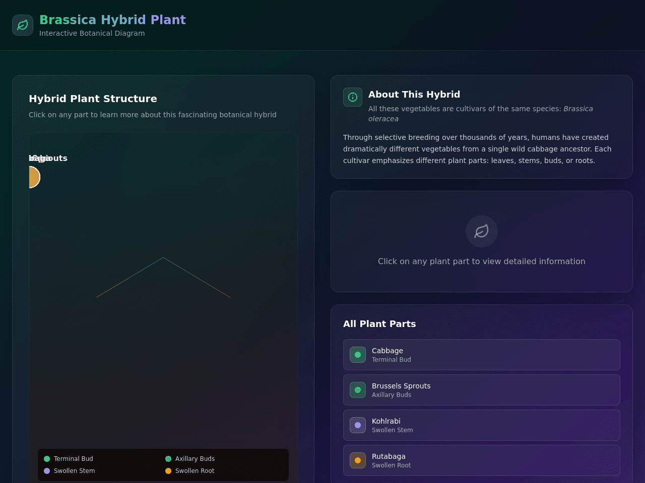 Hybrid Plant Studio