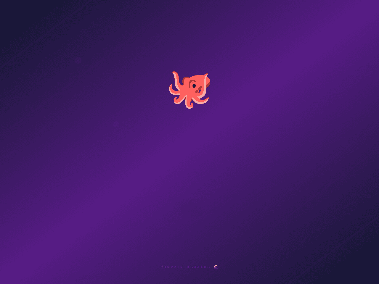 Octopus Animation Studio