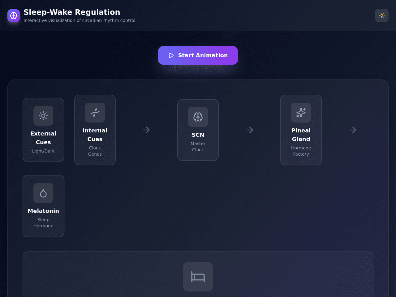 Sleep Insight Dashboard