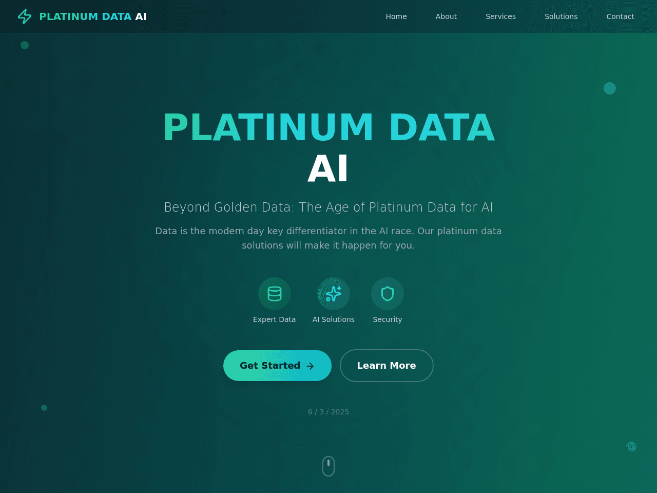 Platinum Data Solutions