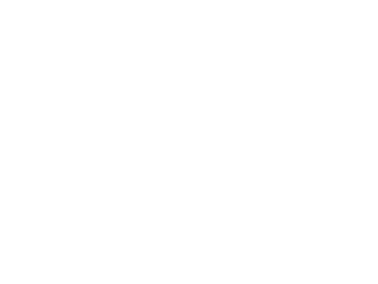 Parcel Flow Studio