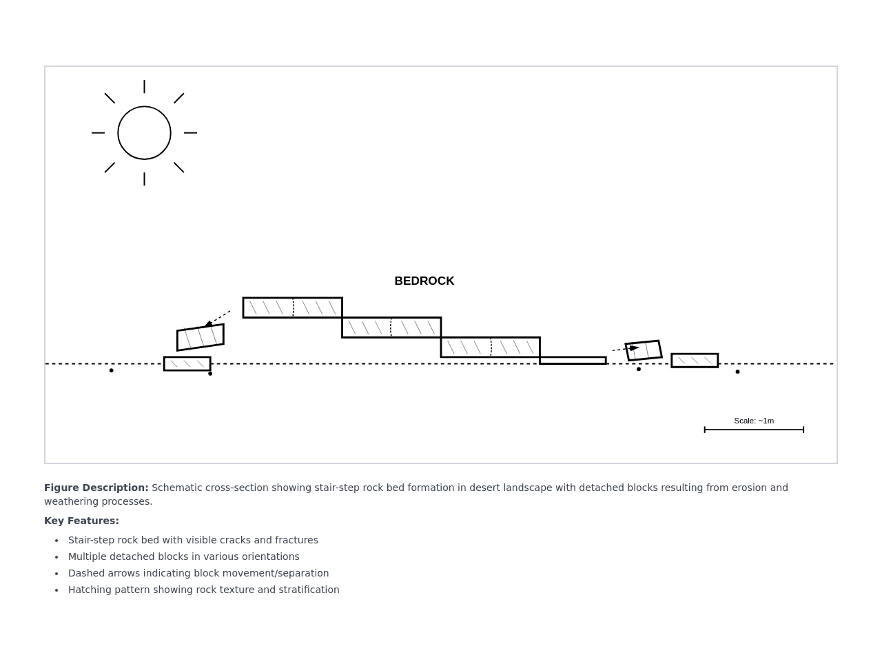 Schematic Landscape Studio