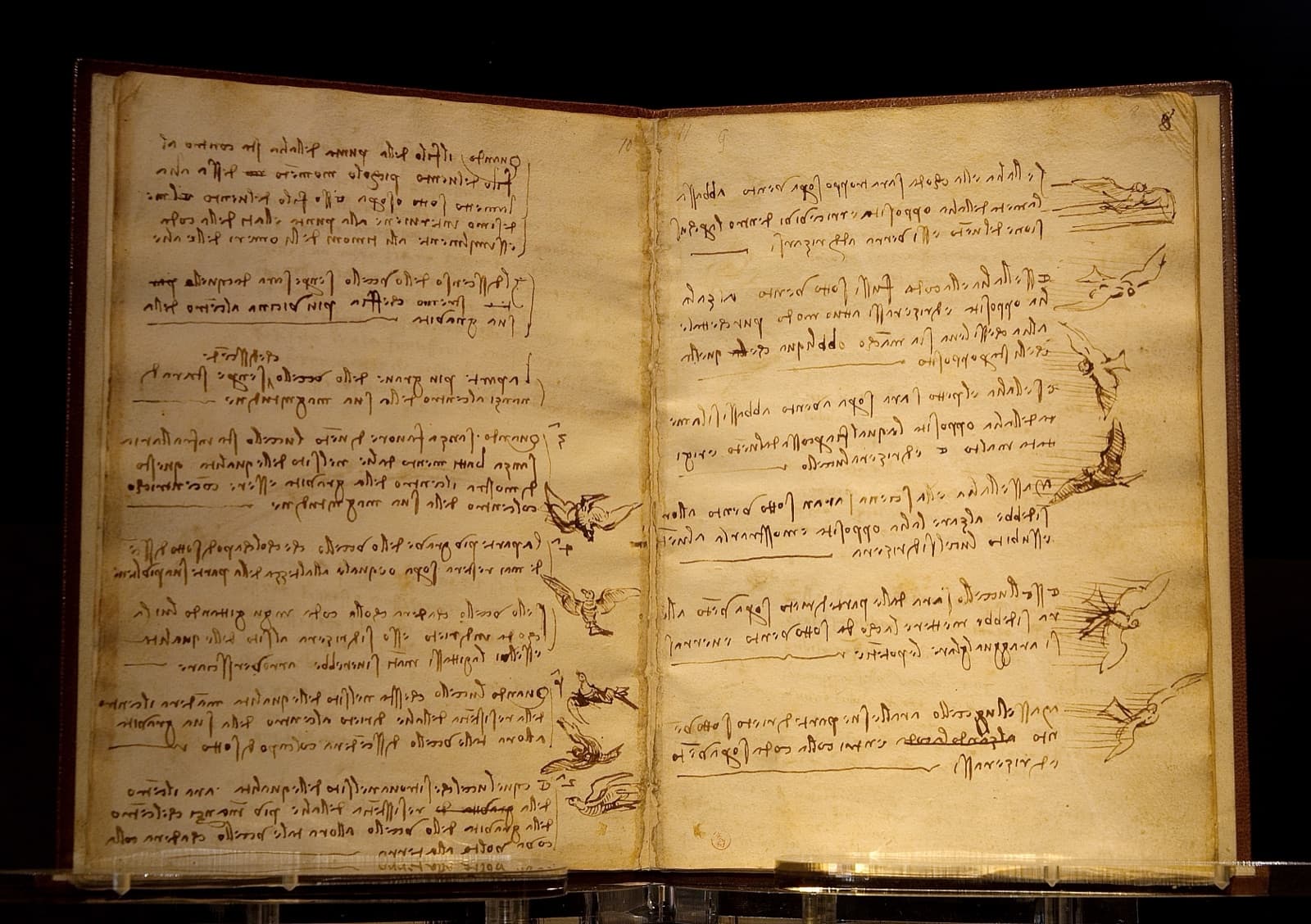 Leonardo da Vinci's Codex on the Flight of Birds, around 1505, open to pages of mirror-written notes and bird sketches, illustrating ideas captured in memory long before they turned into action