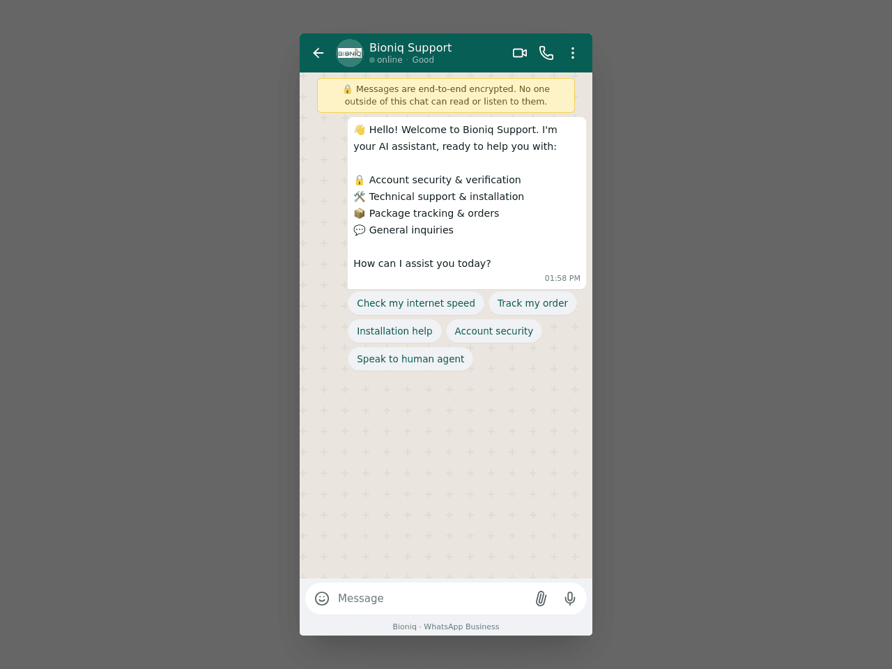 Bioniq Chat Pro