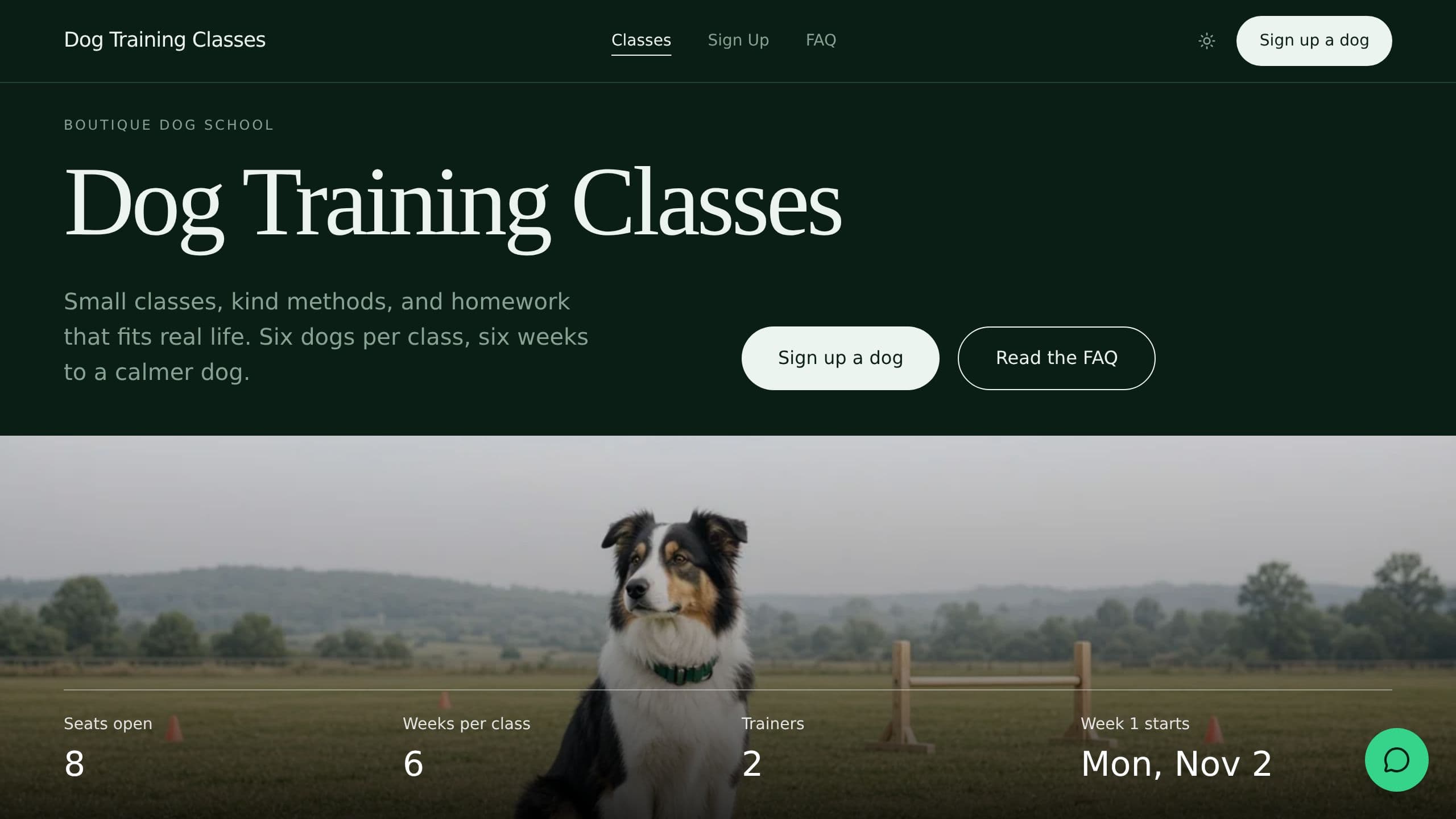 Dog Training Classes preview