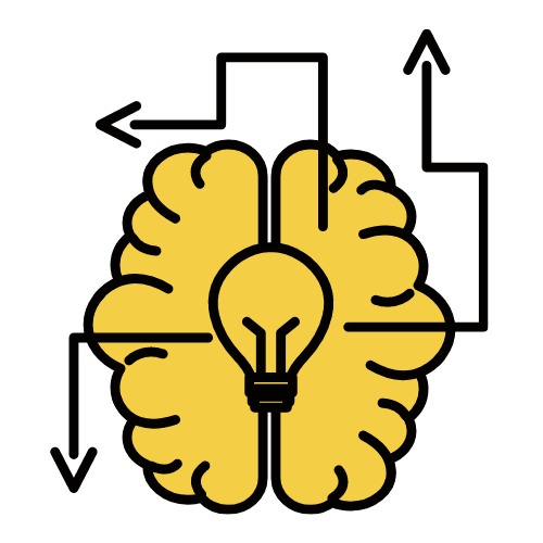 brain metacognition