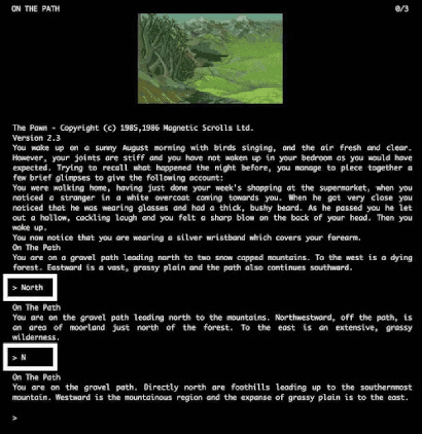 The Pawn text-based adventure game commands.