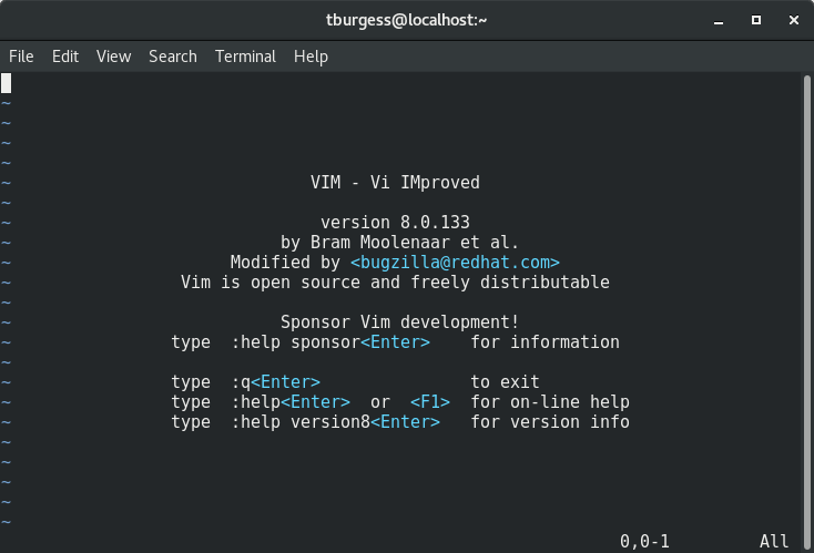 Vim editor user interface.