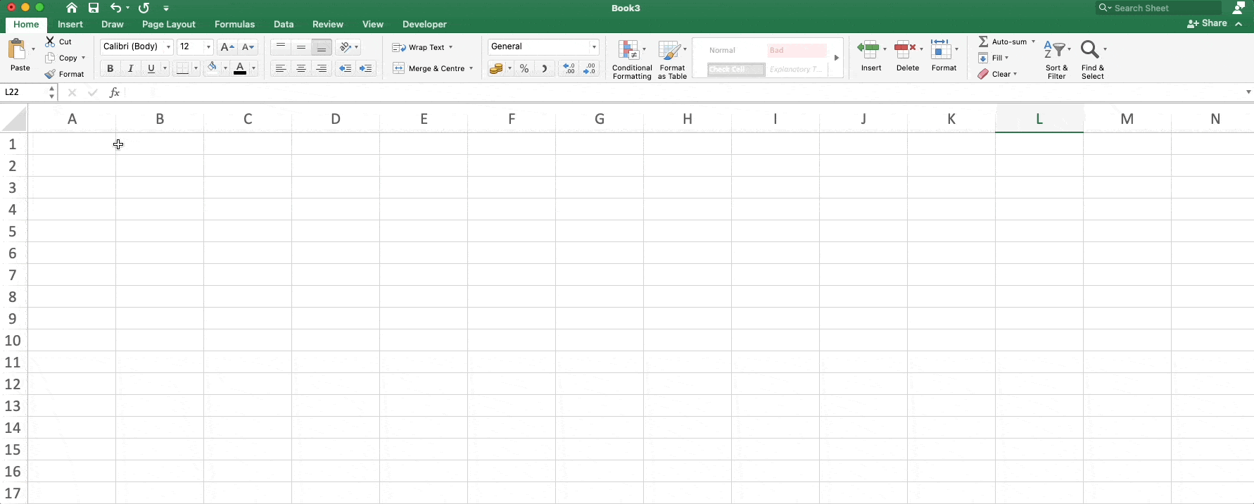Resizing columns in an Excel spreadsheet.
