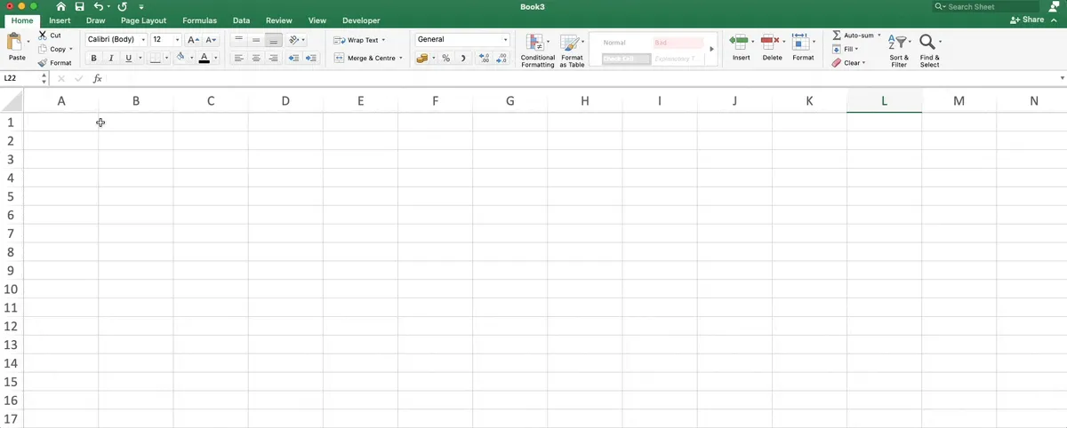 Resizing columns in an Excel spreadsheet.