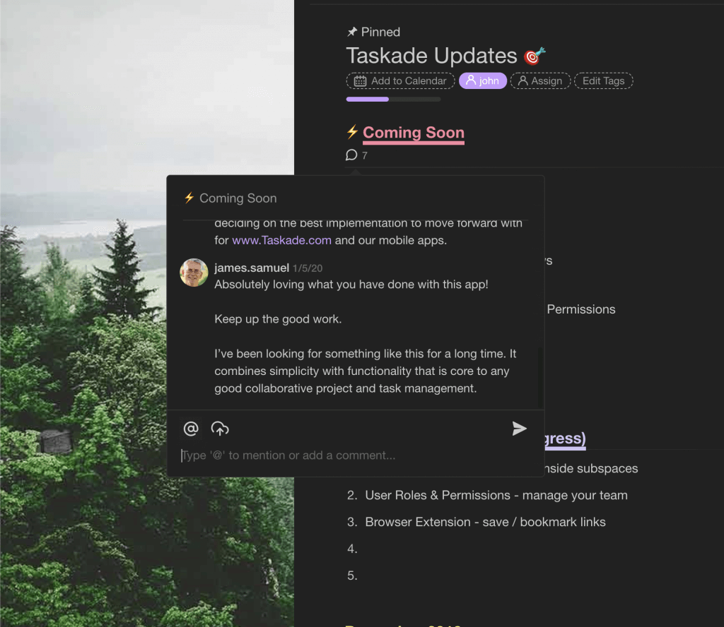 Taskade Commenting Feature from Customer