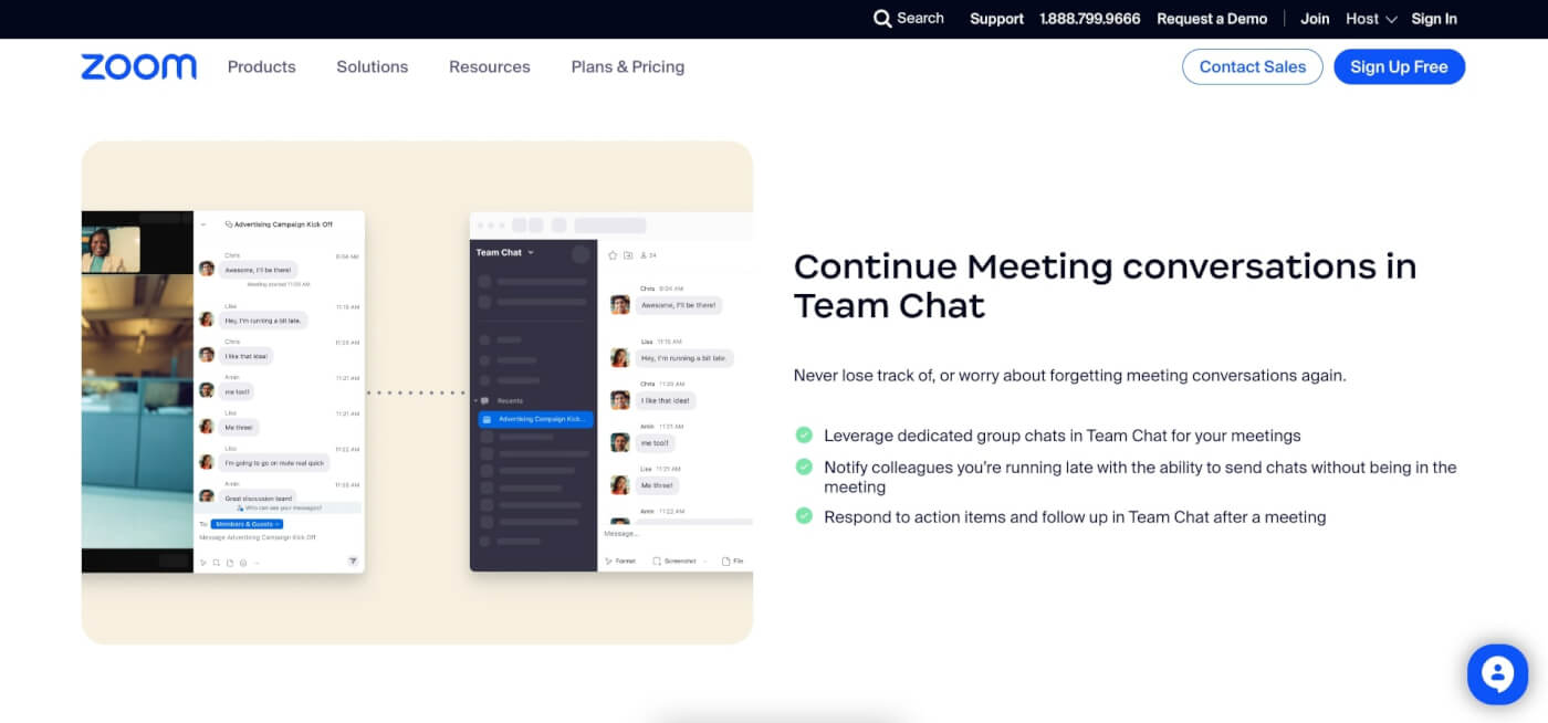 Zoom user interface.